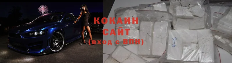 где можно купить   Берёзовка  COCAIN Fish Scale 